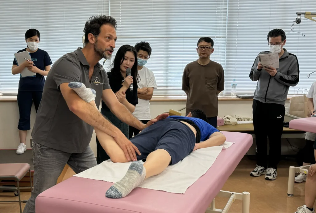 ドイツ徒手医学＋テキスト　セラピスト　リハビリ　理学療法 徒手療法を用いた運動器疾患の評価と治療戦略｜PT-OT-ST.NET